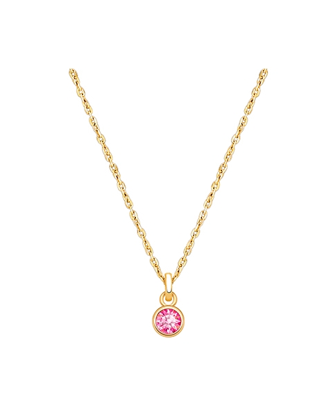 tB® Birthstone, Children&#039;s Personalized Necklace for Girls (All 12 Crystal Birthstones Available) - 14K Gold
