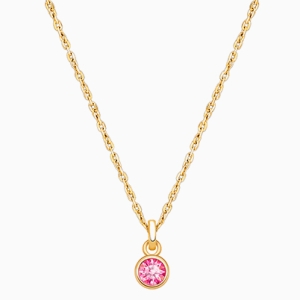 tB® Birthstone, Teen's Personalized Necklace for Girls (All 12 Crystal Birthstones Available) - 14K Gold